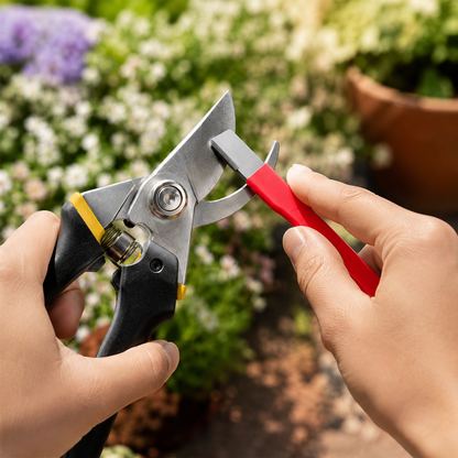 Stock up for the garage, garden, and toolbox—the more you buy, the more you get FREE. 🧰