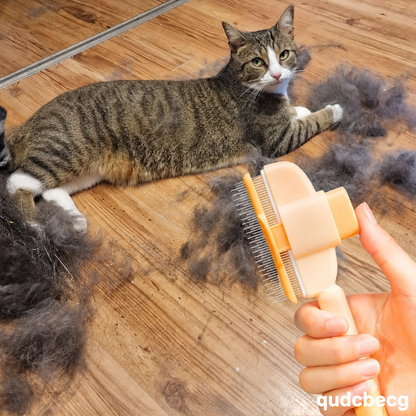 One Click Detangling Brush